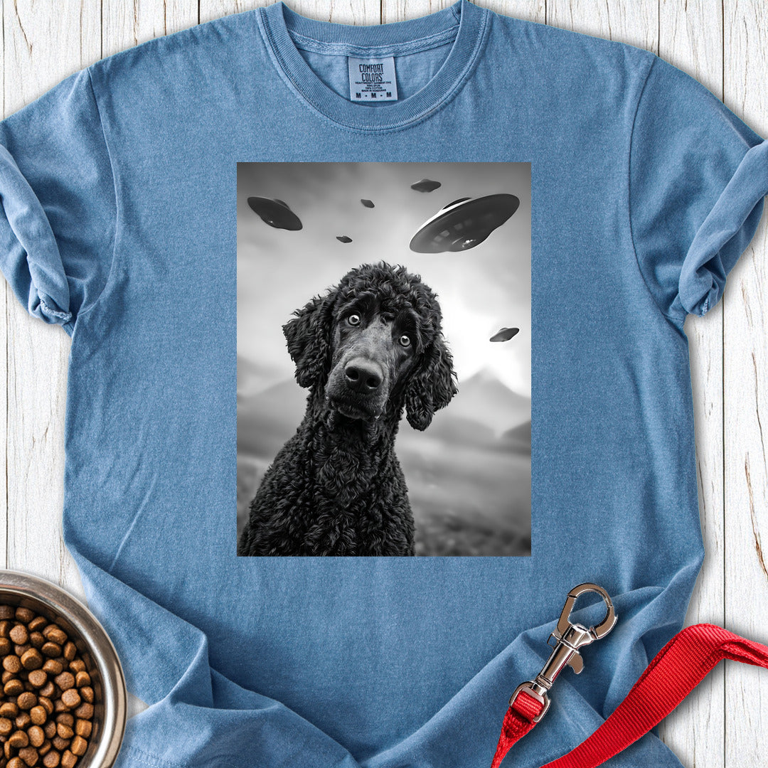 Standard Poodle UFO 2 Premium Tee — Blue Jean