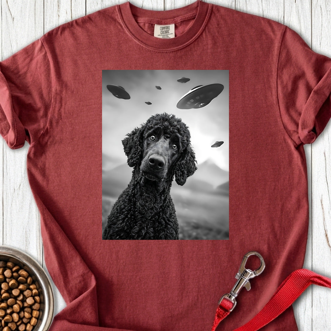 Standard Poodle UFO 2 Premium Tee — Brick