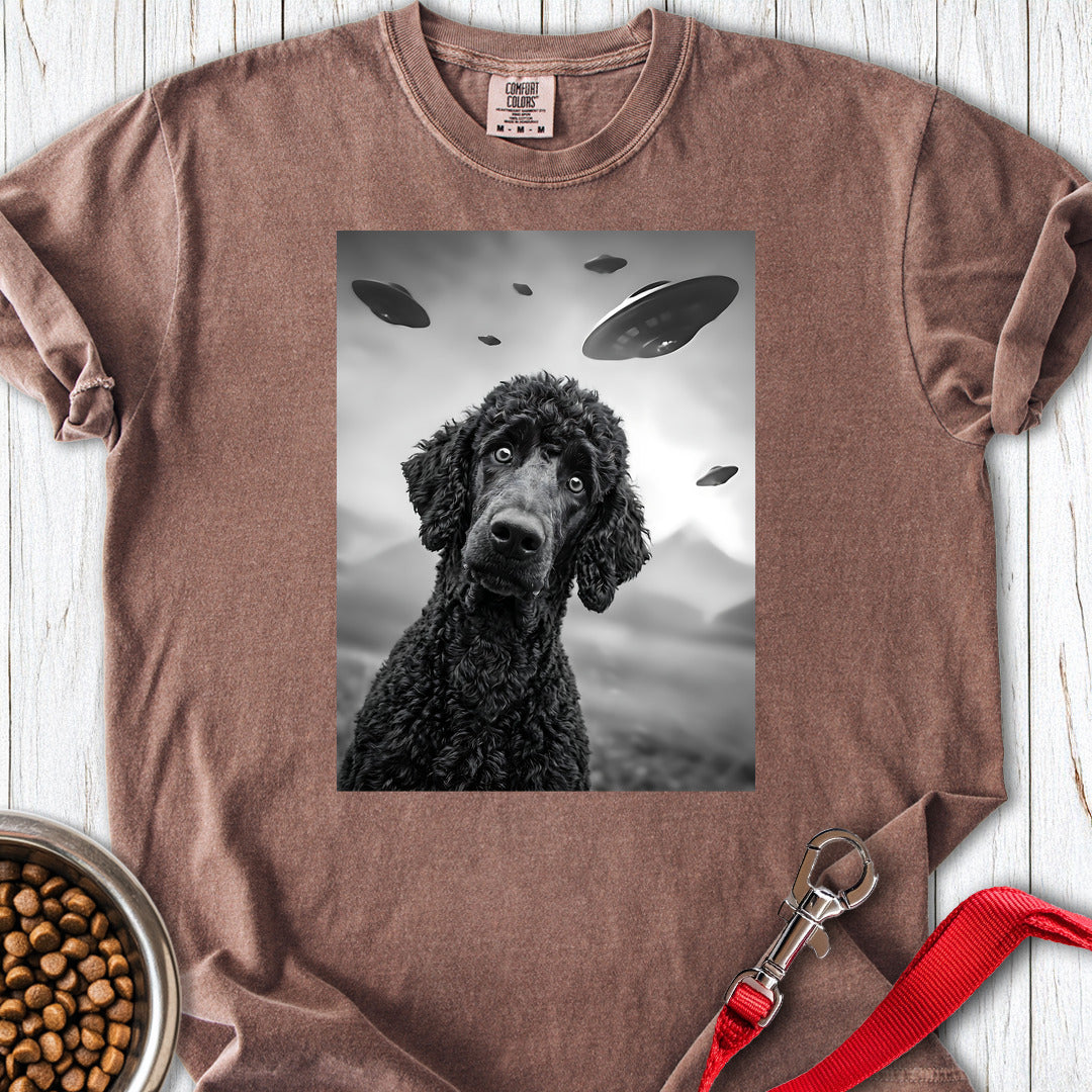 Standard Poodle UFO 2 Premium Tee — Espresso