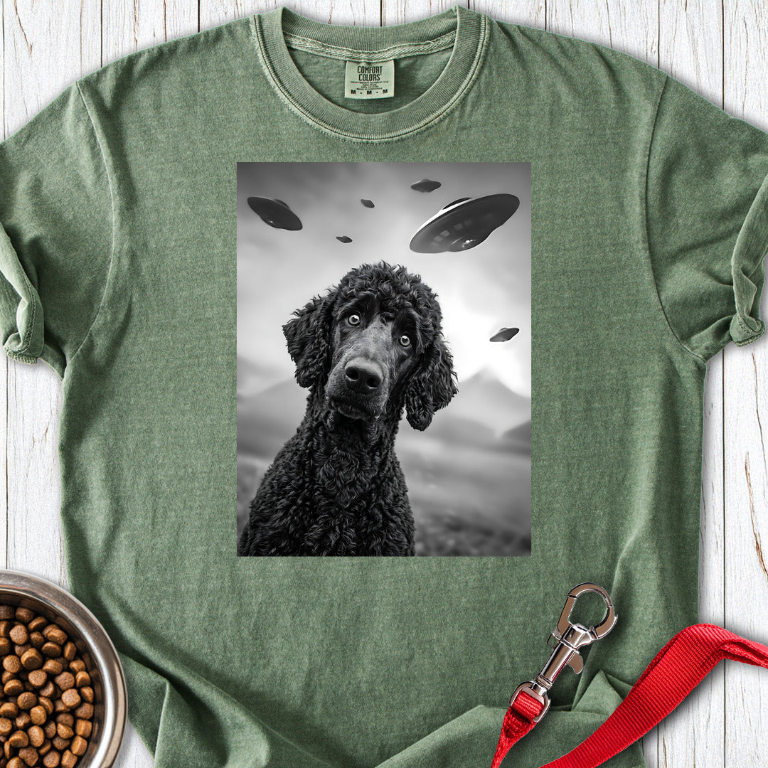 Standard Poodle UFO 2 Premium Tee — Moss
