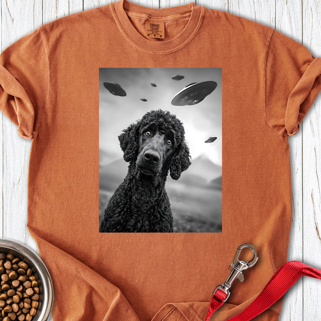 Standard Poodle UFO 2 Premium Tee — Yam