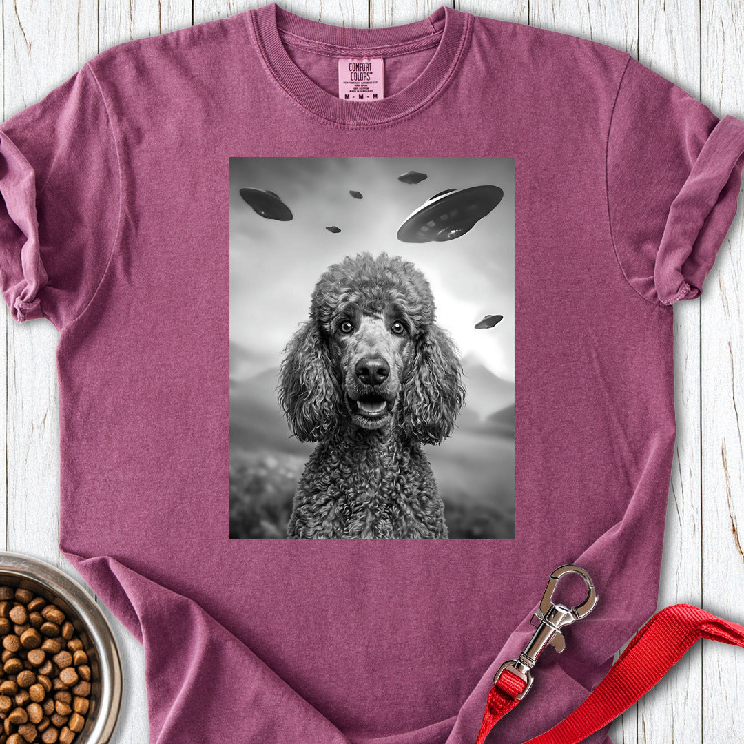 Standard Poodle UFO Premium Tee — Berry