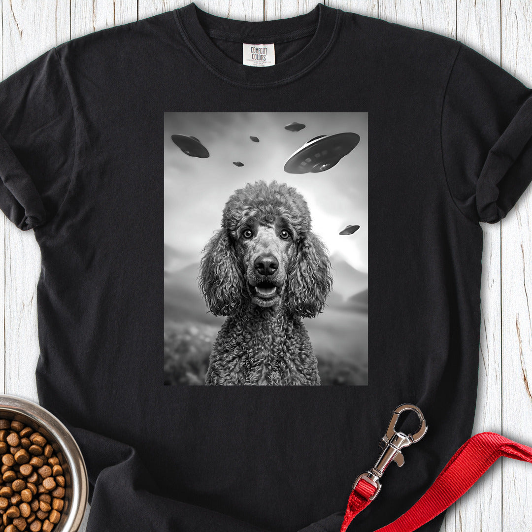 Standard Poodle UFO Premium Tee — Black
