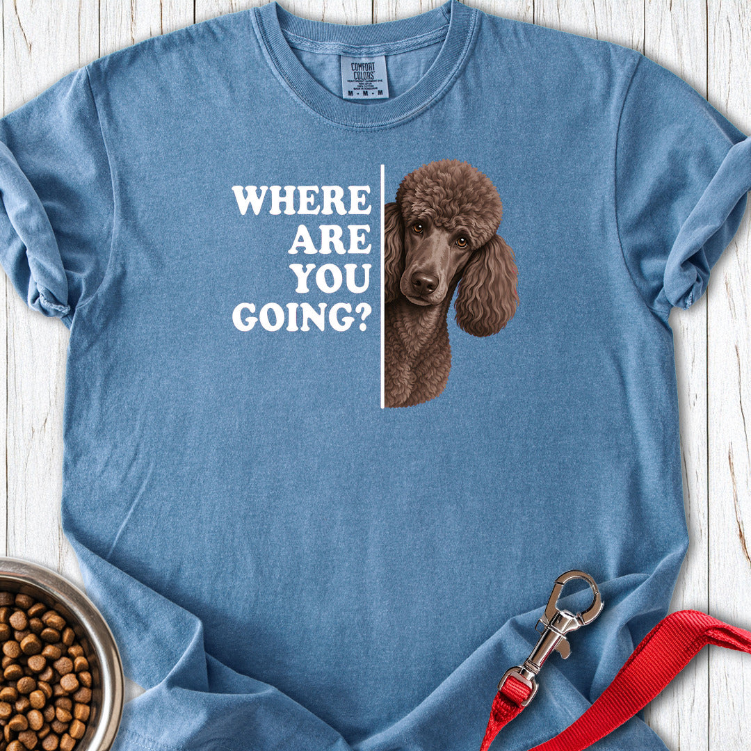 Standard Poodle Where Are You Going 2 Premium Tee — Blue Jean