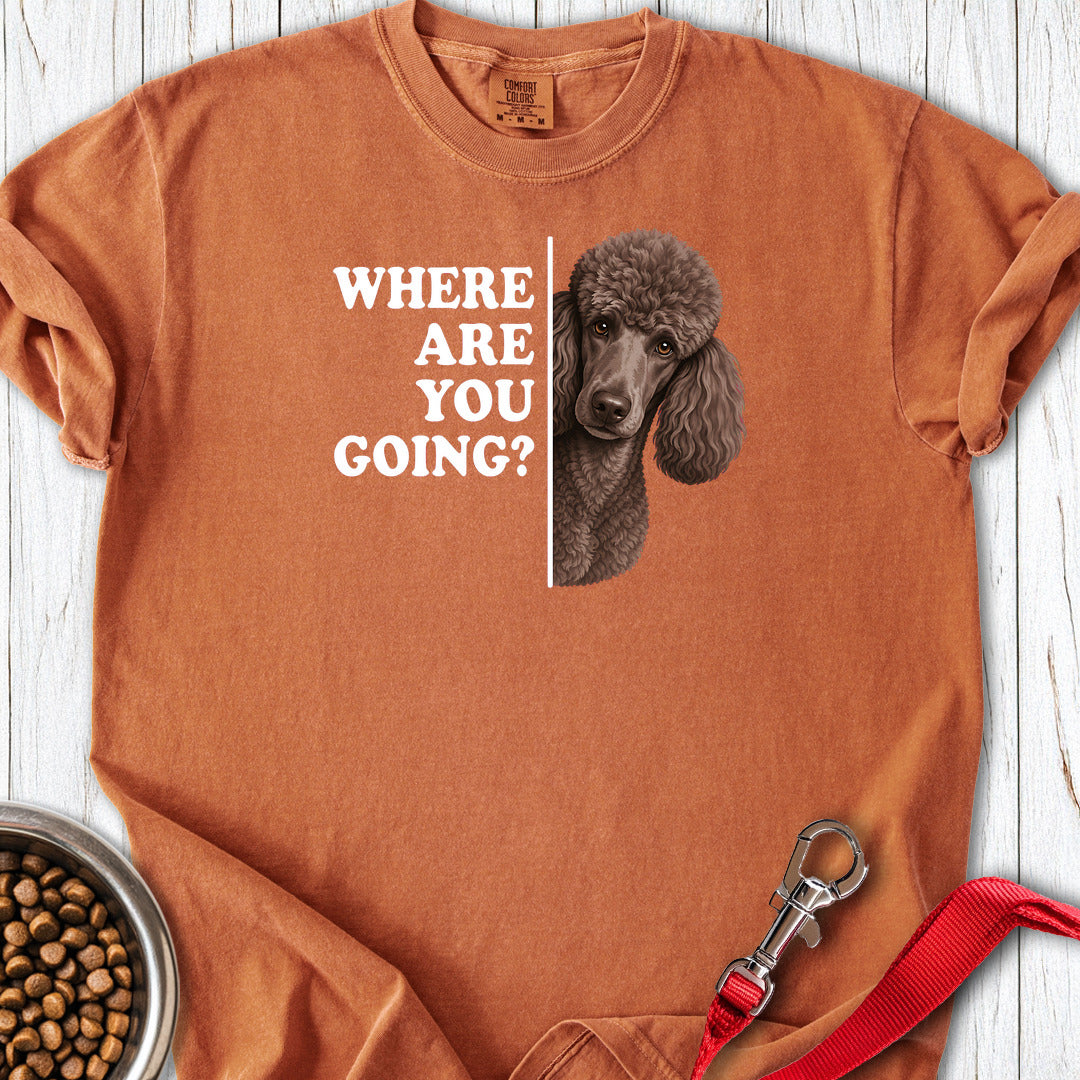 Standard Poodle Where Are You Going 2 Premium Tee — Yam
