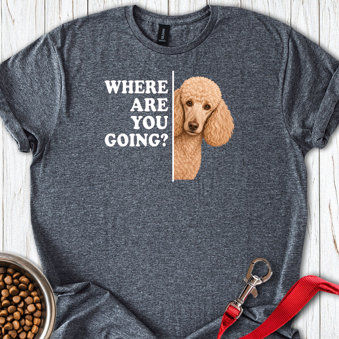 Standard Poodle Where Are You Going Apricot — Dark Heather