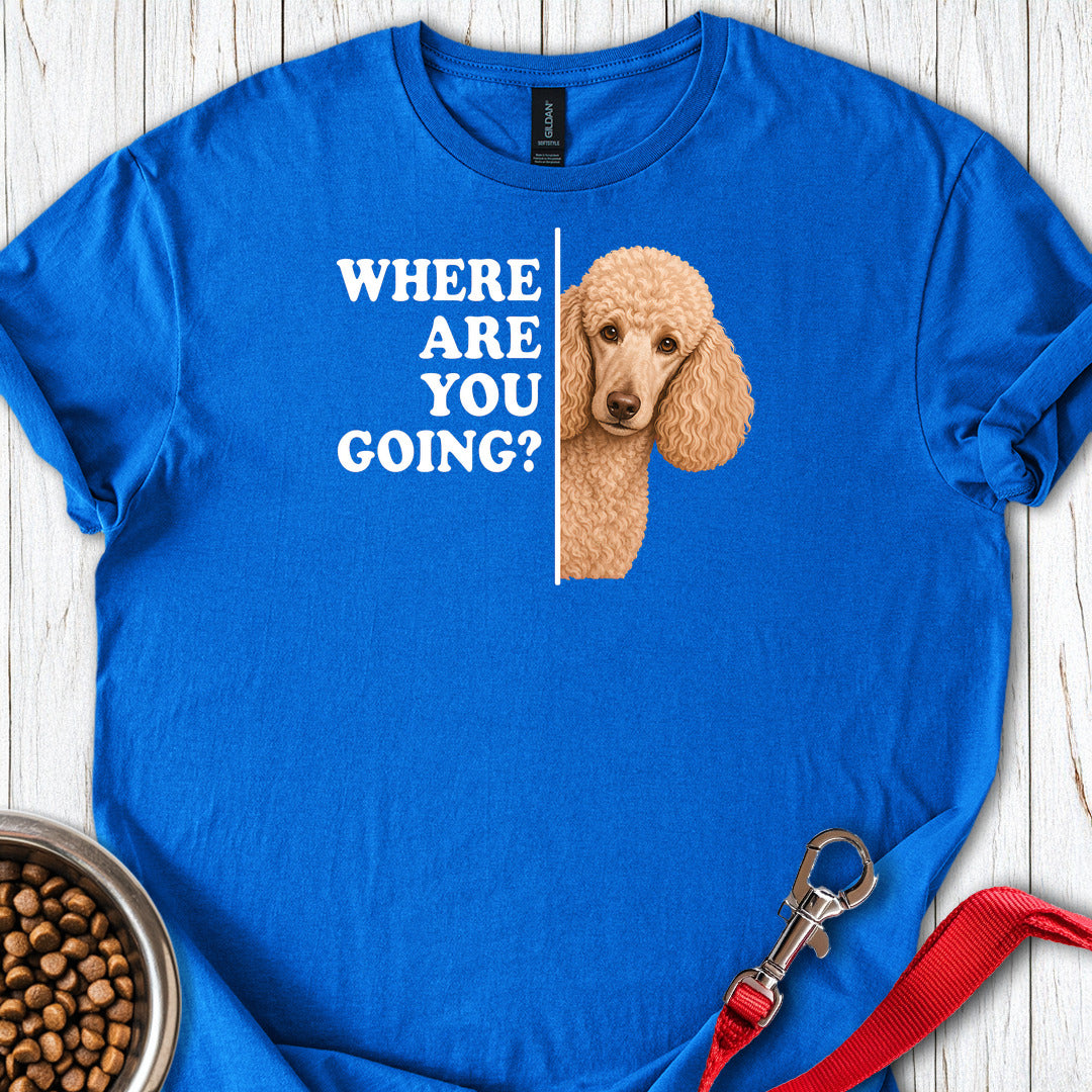 Standard Poodle Where Are You Going Apricot — Royal