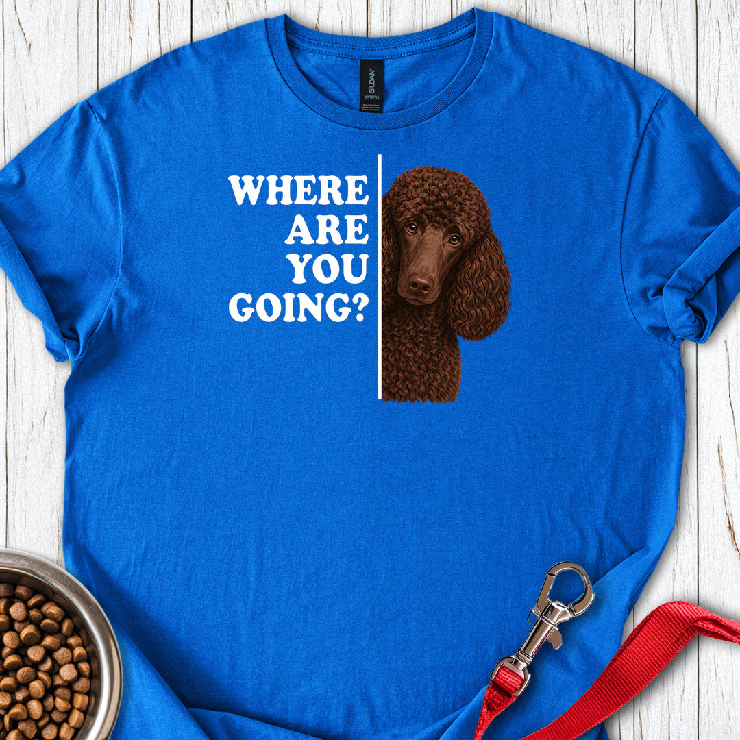 Standard Poodle Where Are You Going Chocolate — Royal