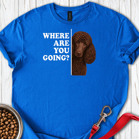 Standard Poodle Where Are You Going Chocolate — Royal