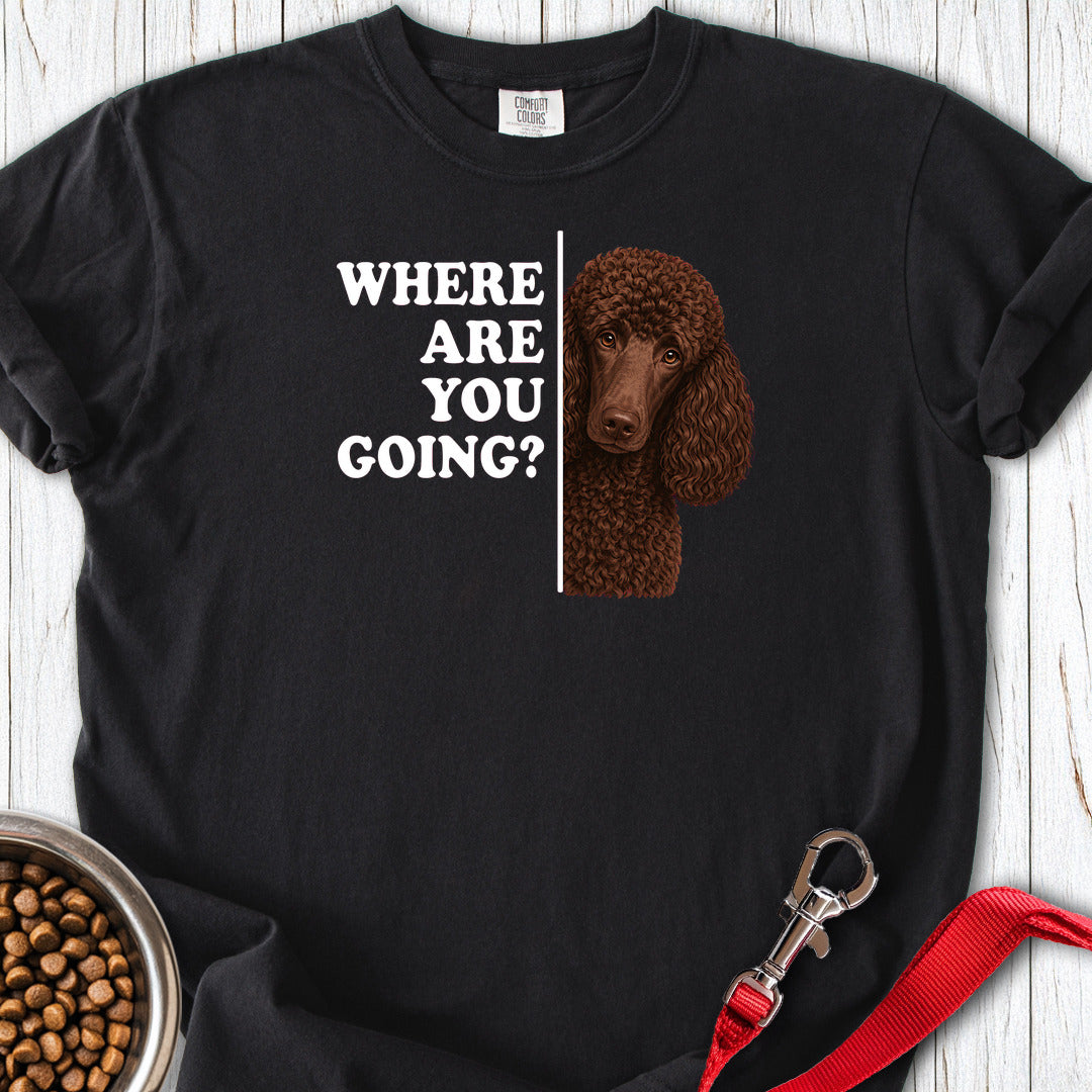 Standard Poodle Where Are You Going Chocolate Premium Tee — Black