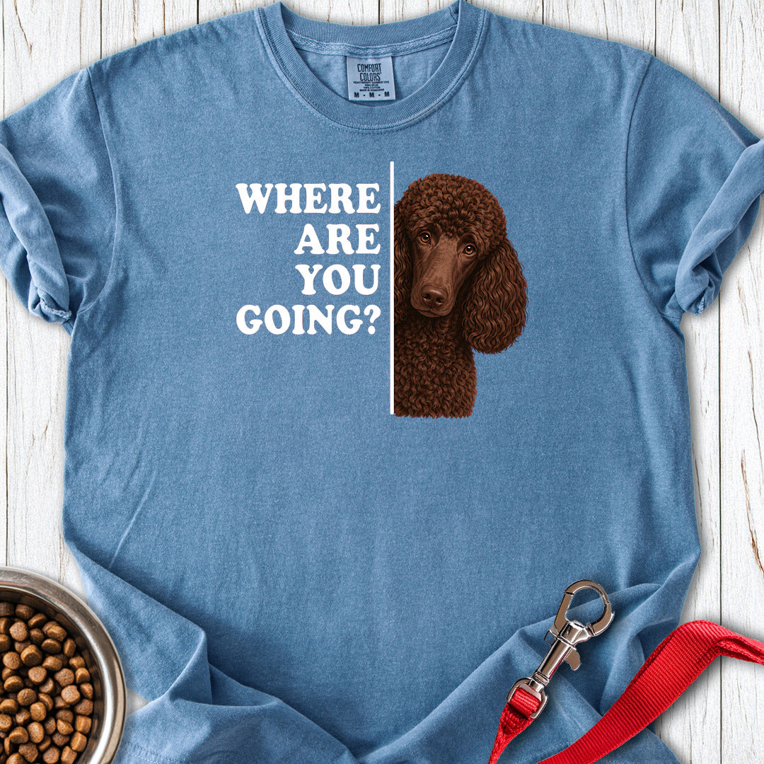 Standard Poodle Where Are You Going Chocolate Premium Tee — Blue Jean