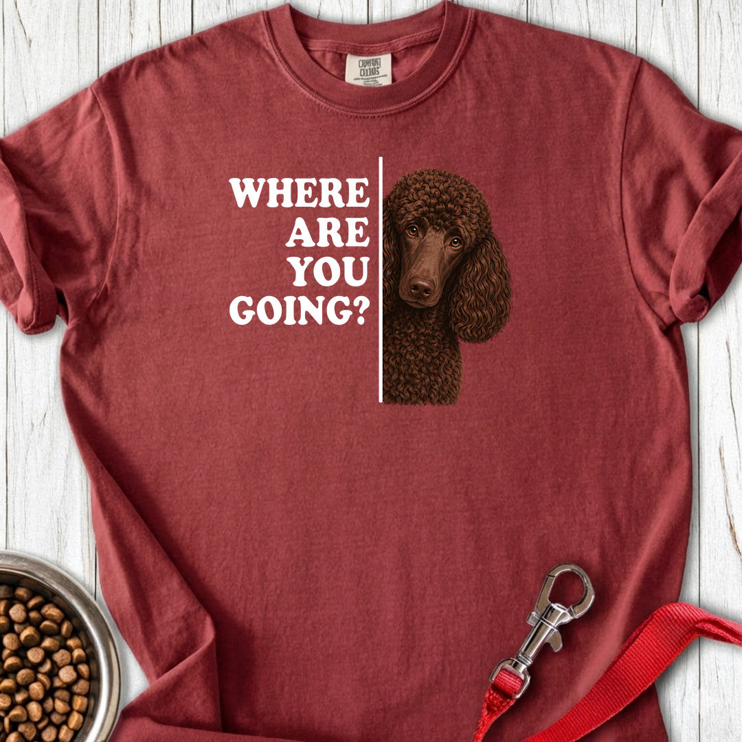 Standard Poodle Where Are You Going Chocolate Premium Tee — Brick