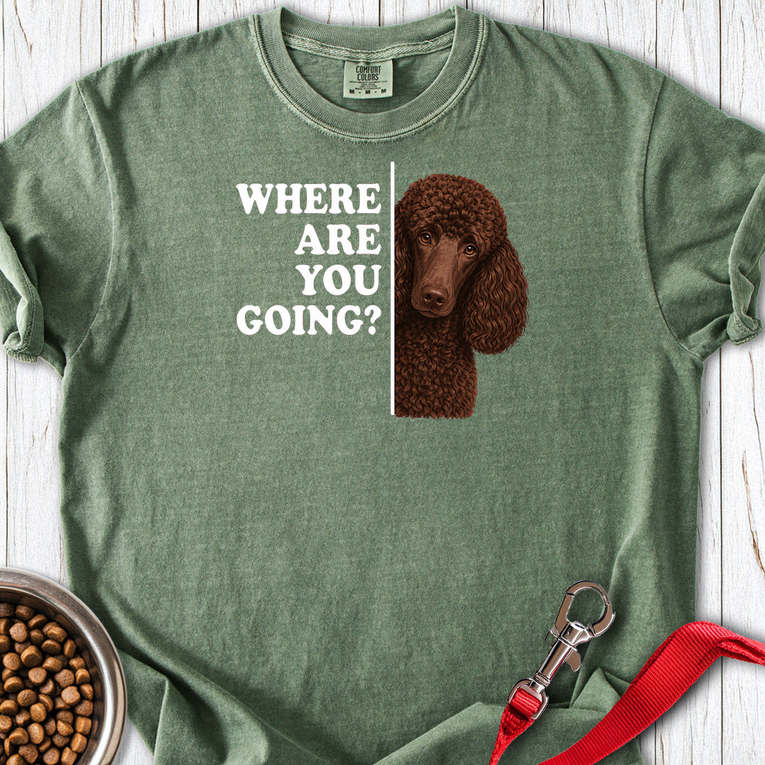 Standard Poodle Where Are You Going Chocolate Premium Tee — Moss