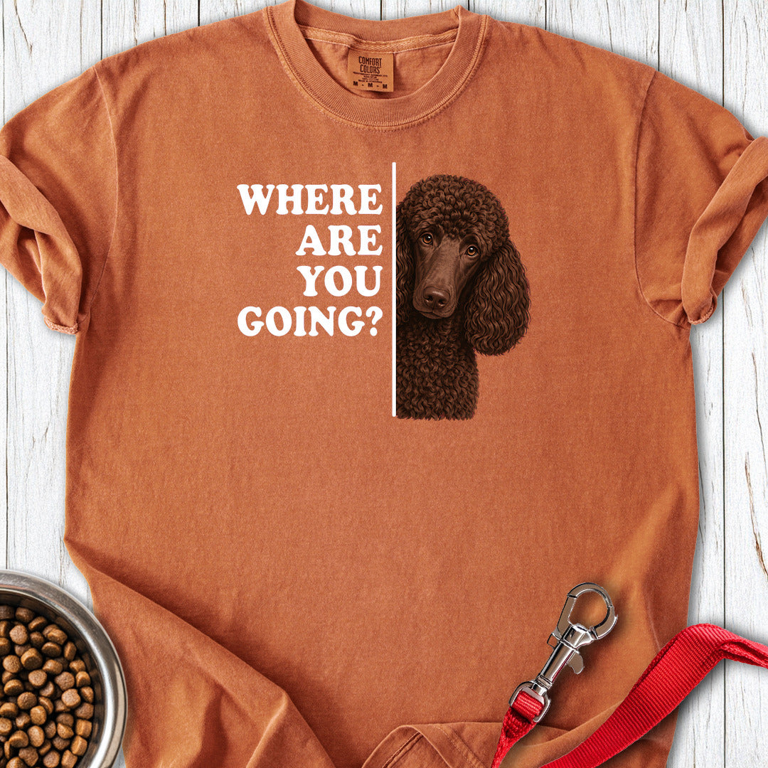 Standard Poodle Where Are You Going Chocolate Premium Tee — Yam