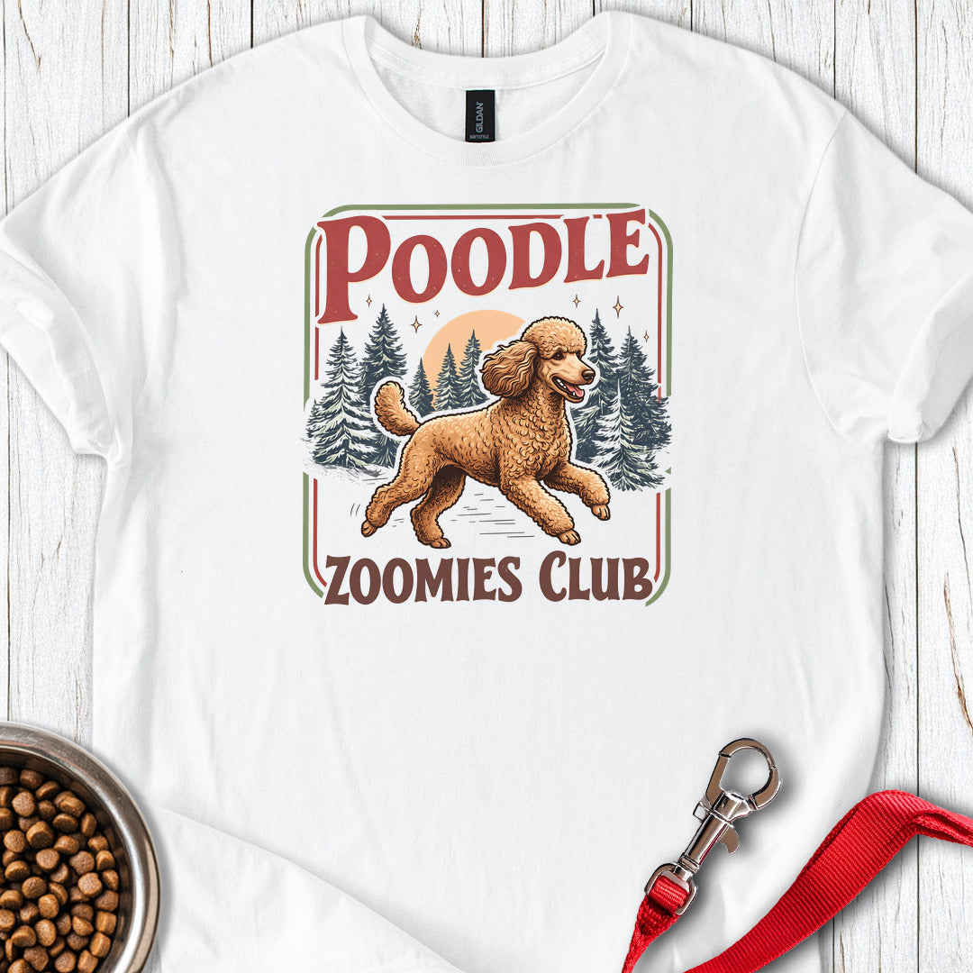 Standard Poodle Zoomies Club Apricot — White