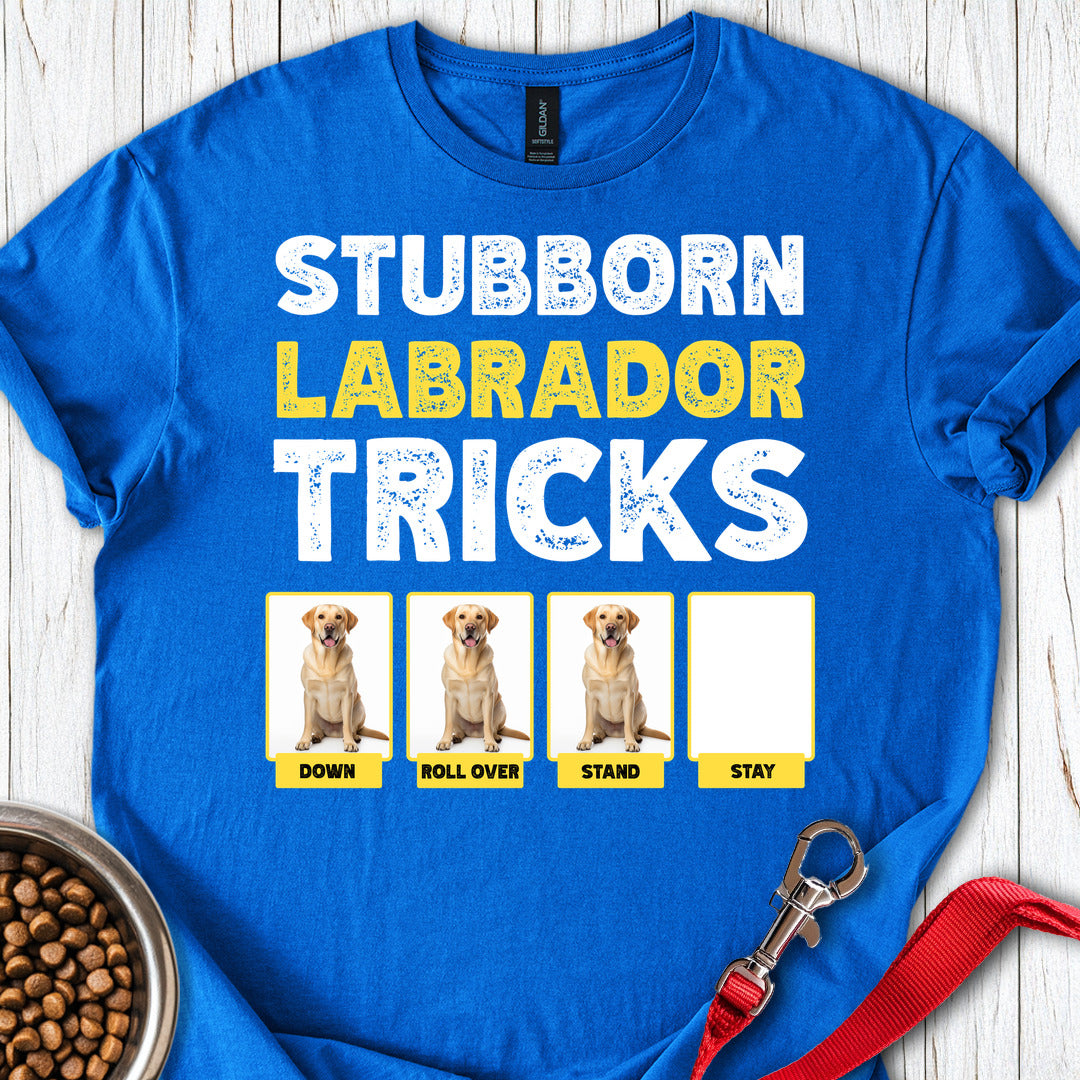 Stubborn Labrador Tricks Royal