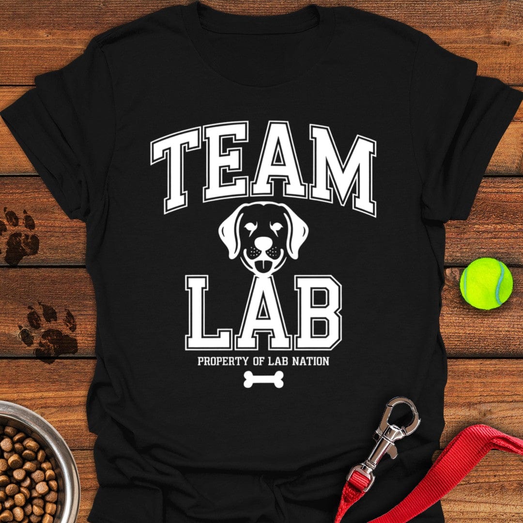Team Lab T-Shirt Black