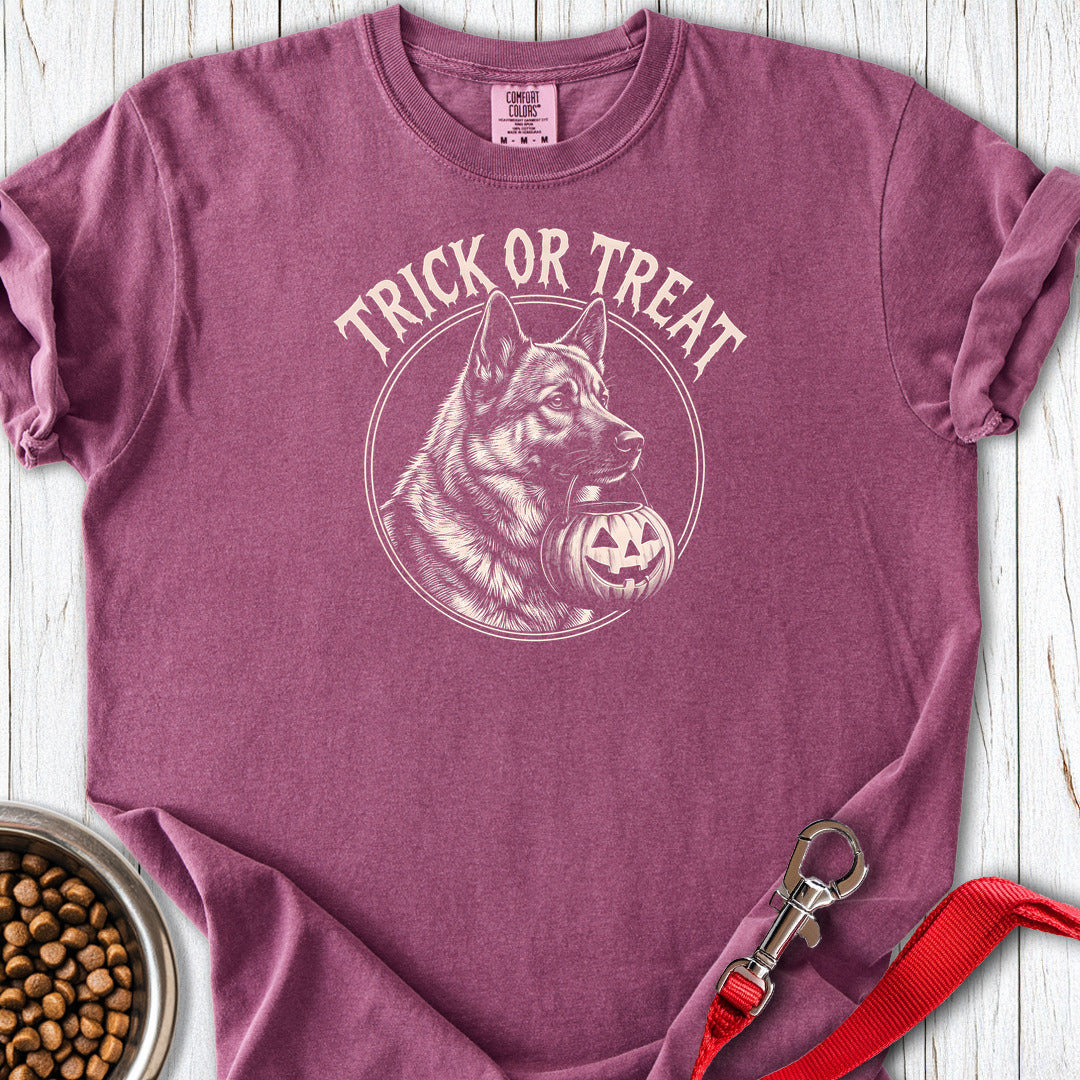Trick Or Treat Premium Tee — Berry