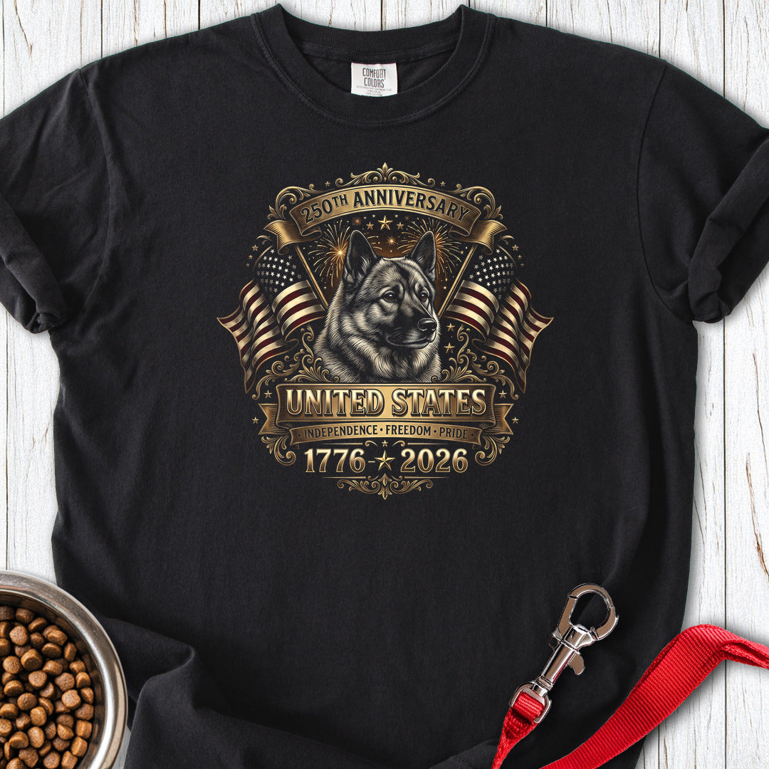 USA Premium Tee — Black