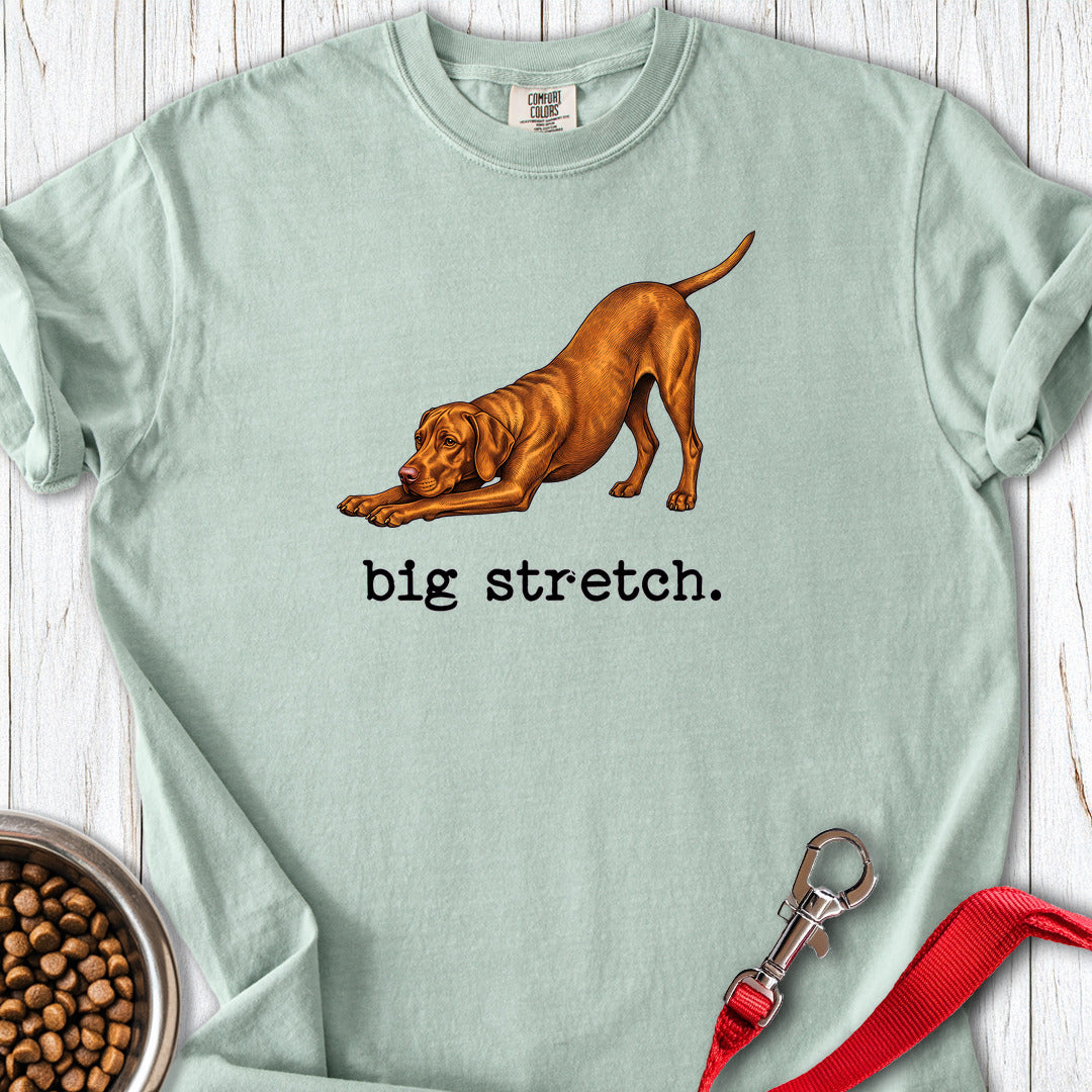 Vizsla Big Stretch Premium Tee — Bay