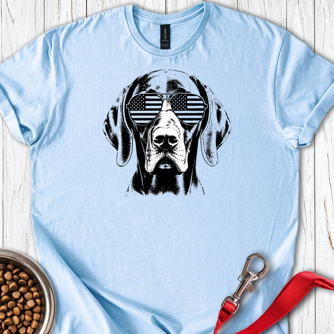 Vizsla Flag Shades — Light Blue