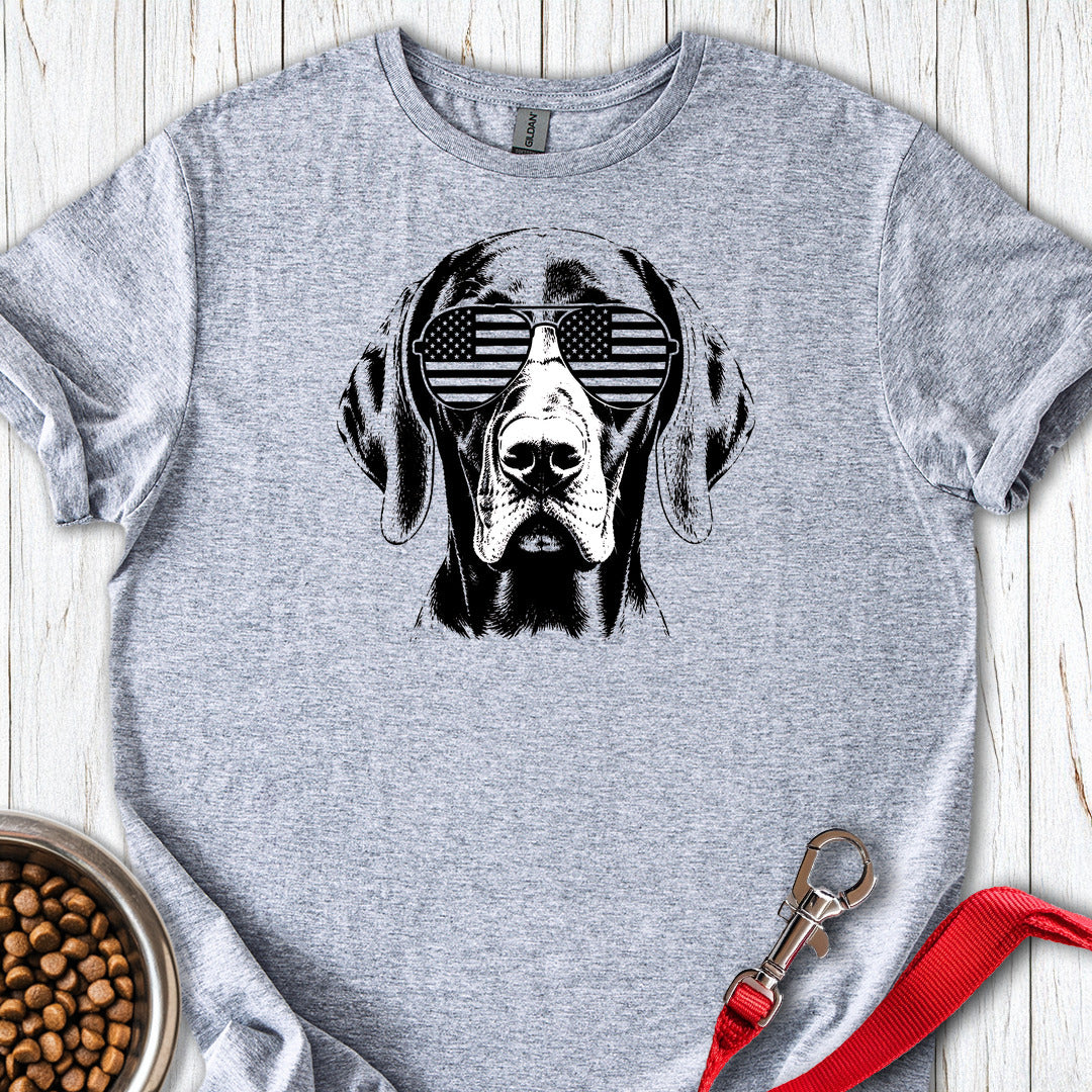 Vizsla Flag Shades — Sport Grey