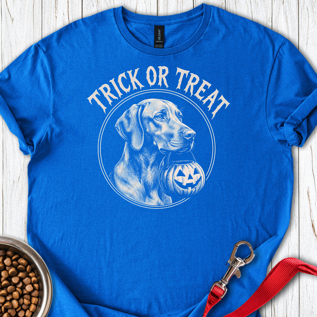 Vizsla Trick Or Treat — Royal