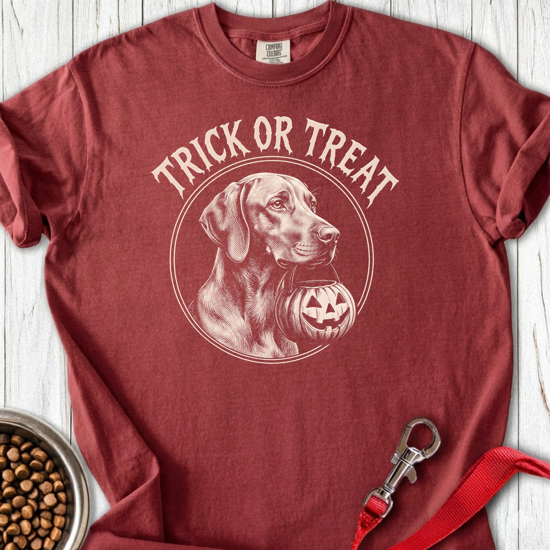 Vizsla Trick Or Treat Premium Tee — Brick