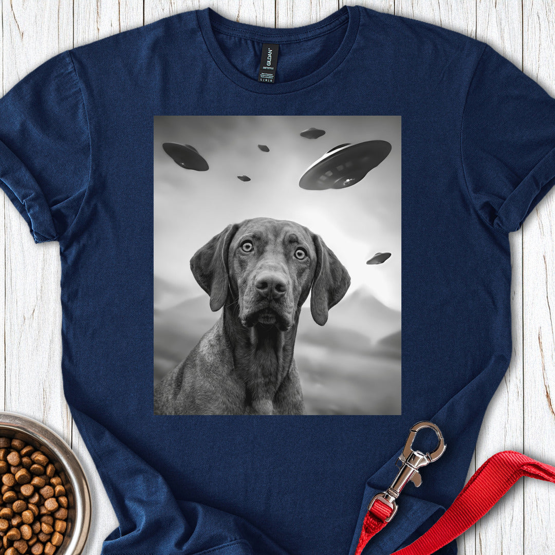 Vizsla UFO Navy