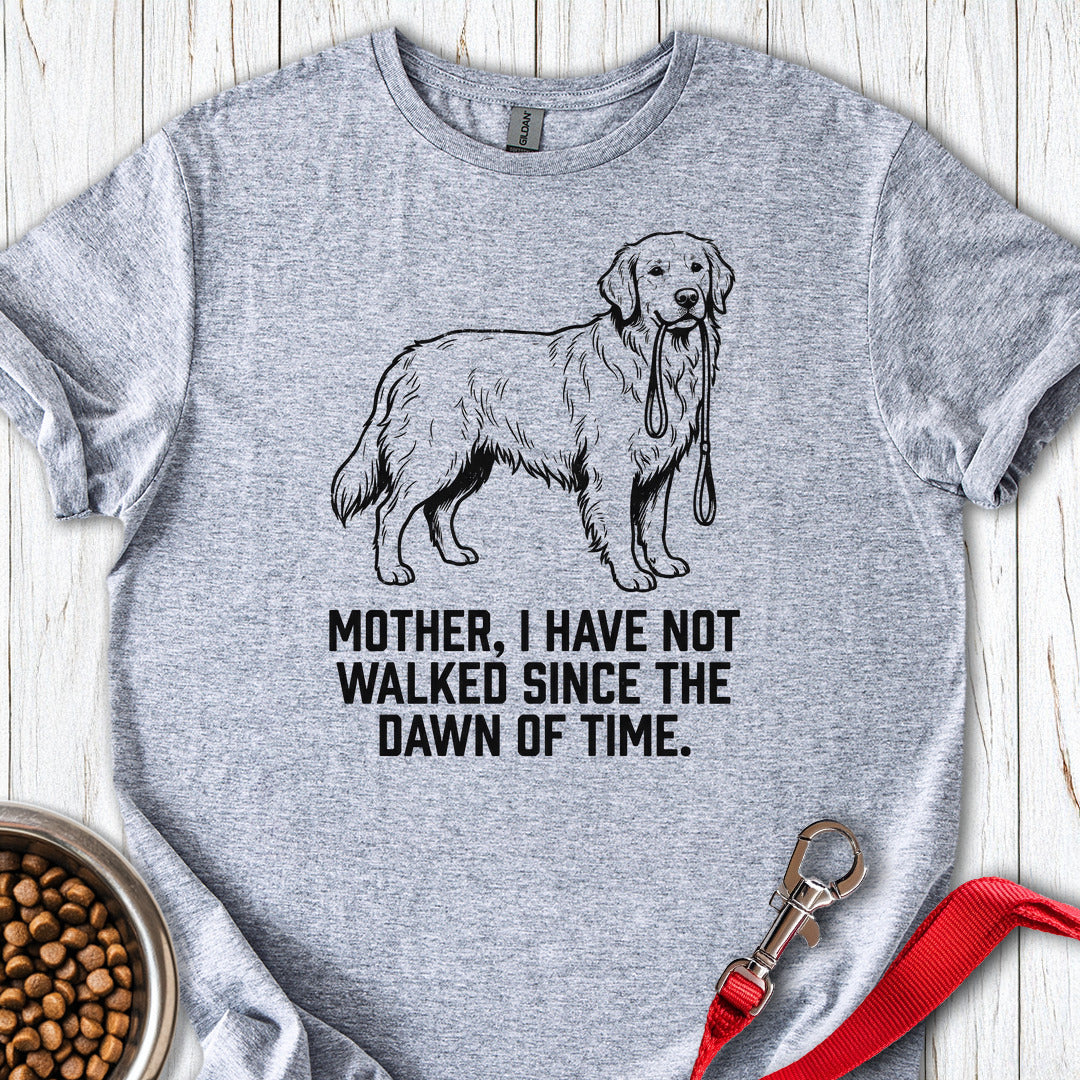 Walking Goldie Sport Grey