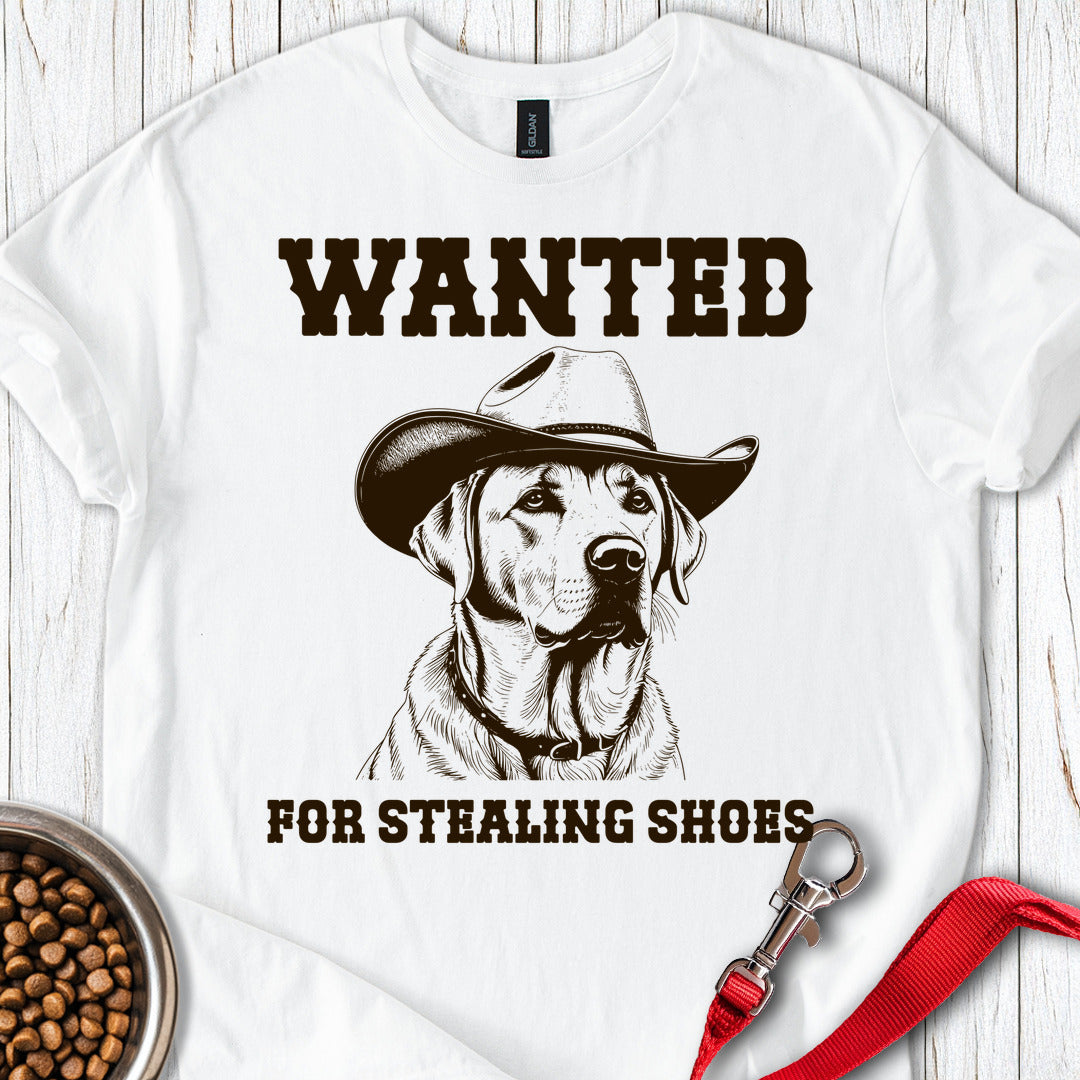 Wanted Labrador White