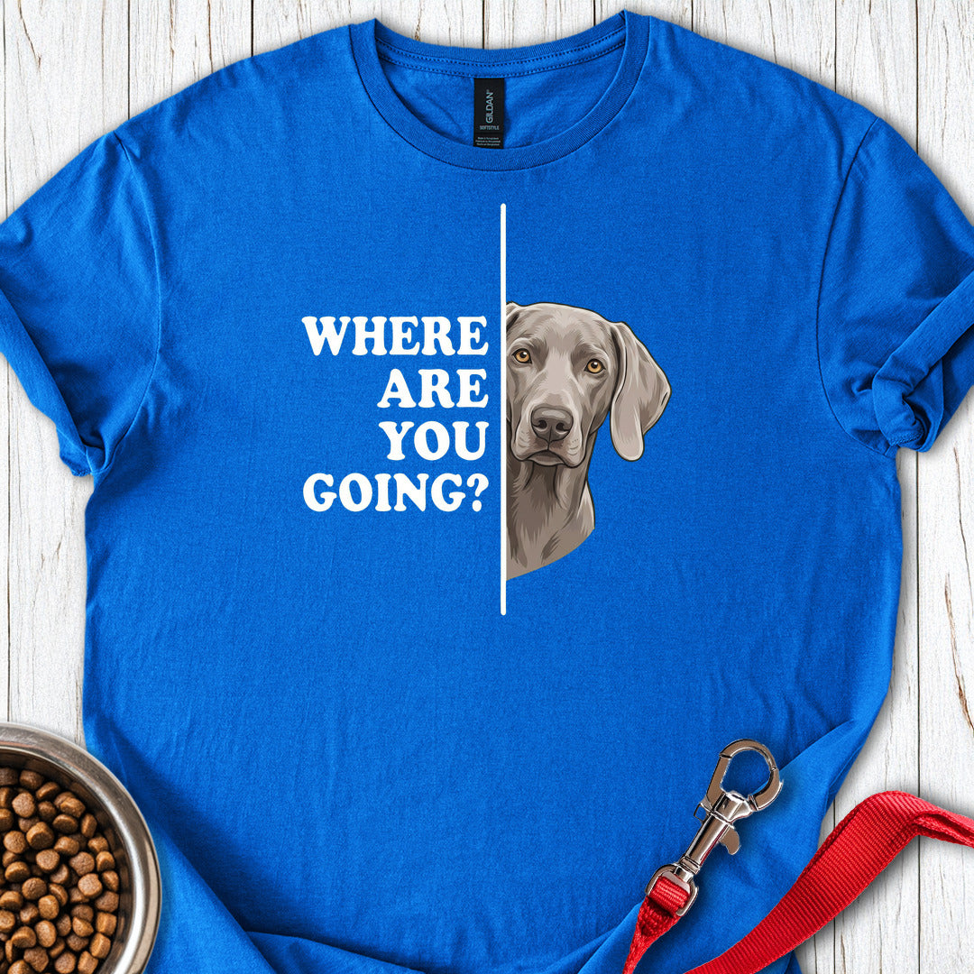 Weimaraner Following Royal