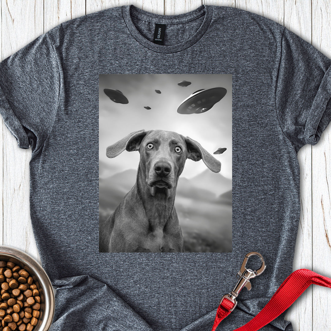 Weimaraner UFO Dark Heather