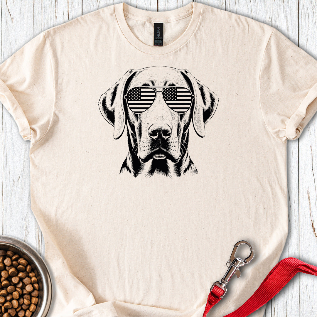 Weimaraner USA — Natural