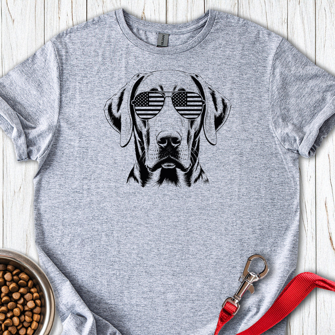 Weimaraner USA — Sport Grey