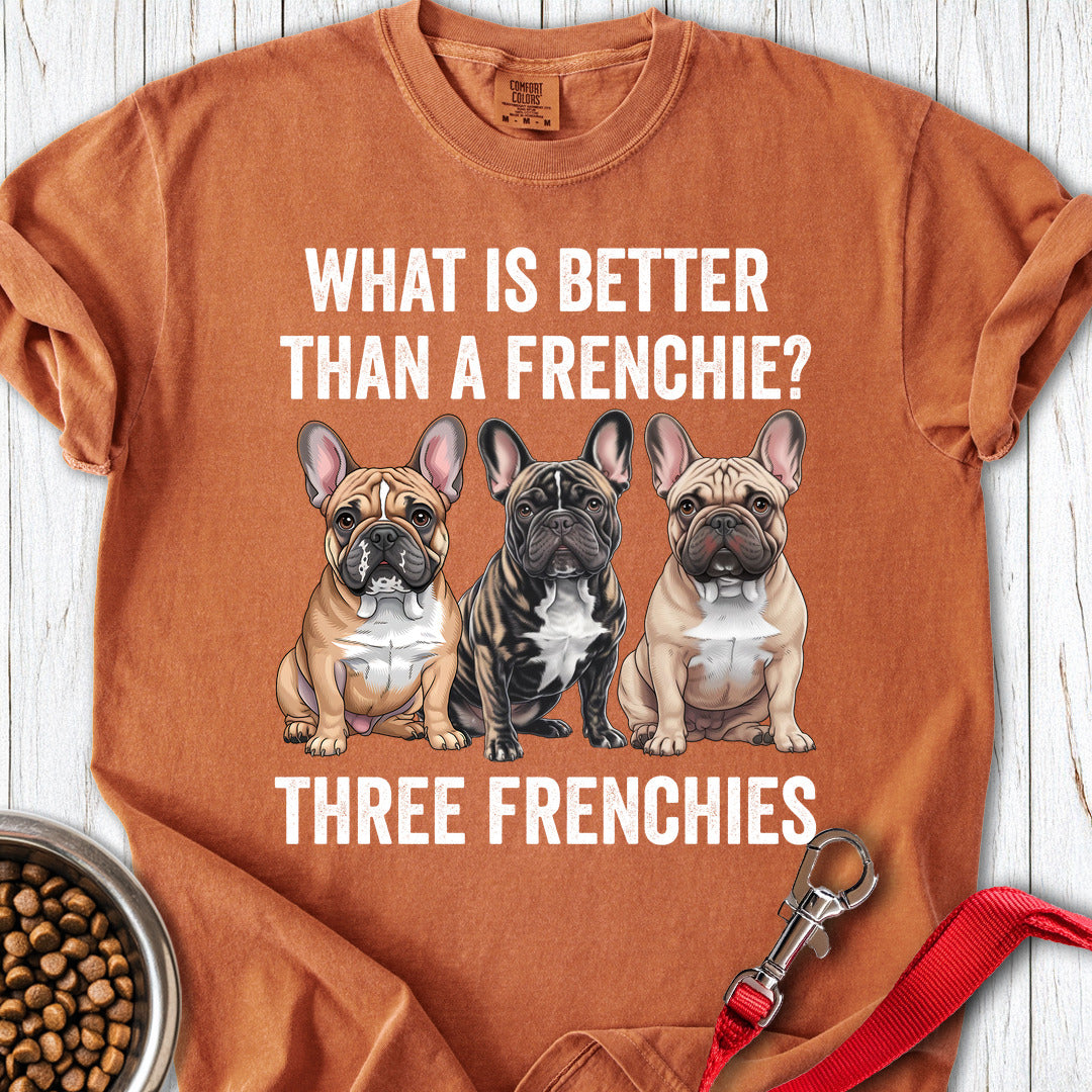 What is Better Than a Frenchie? Premium Tee — Yam