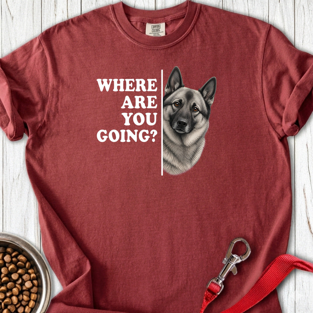 Where Are You Going Premium Tee — Brick