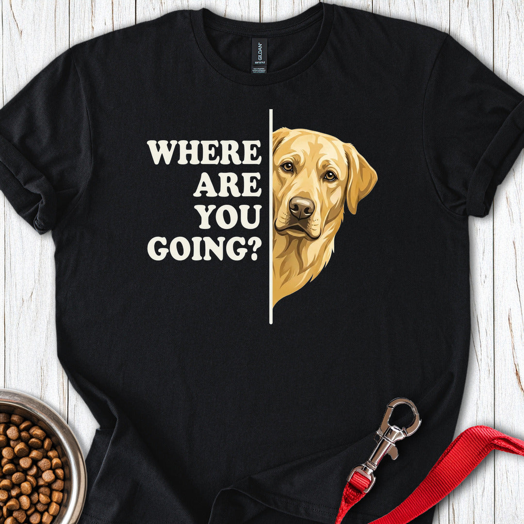 Yellow Lab Following Black