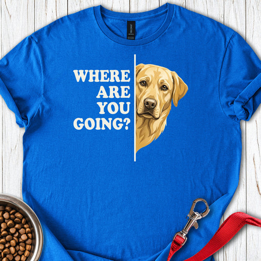 Yellow Lab Following Royal