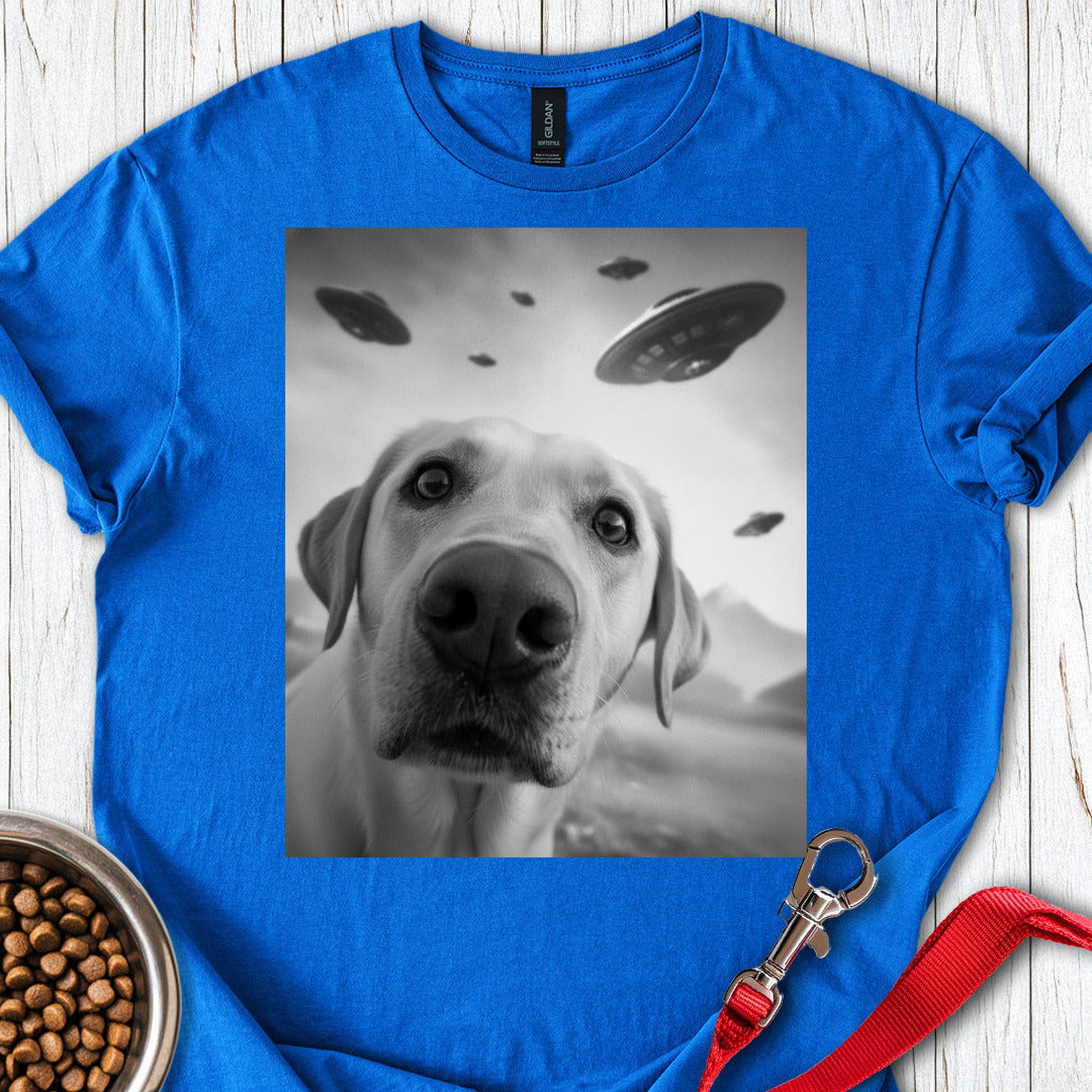 Yellow Lab UFO Selfie Royal