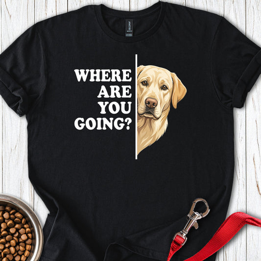 Yellow Labrador Following Black