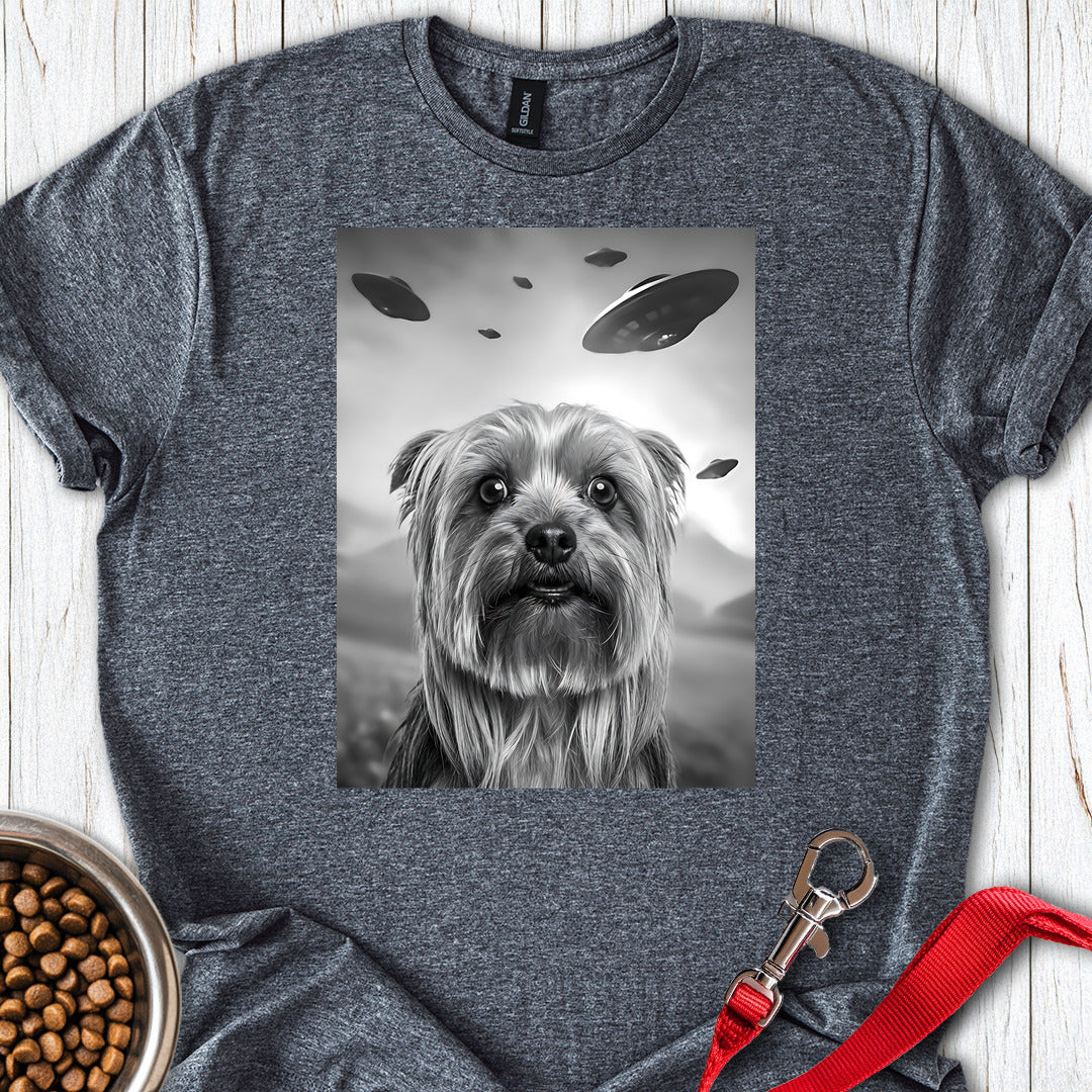Yorkshire Terrier UFO Dark Heather